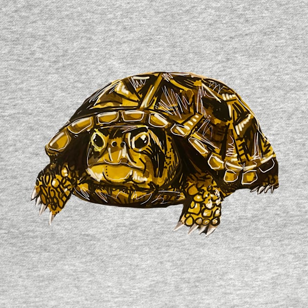 Ornate Box Turtle by KatieMorrisArt